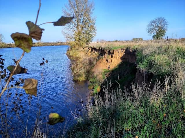 Nationaal Park De Maasheggen - Image 1