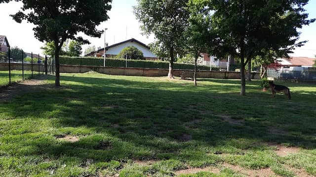 Area cani - Image 1