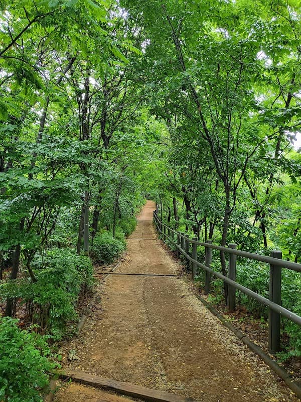 명일근린공원 - Image 1