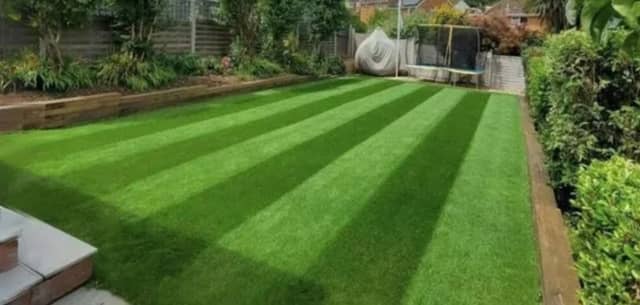 The lawn king - Image 1