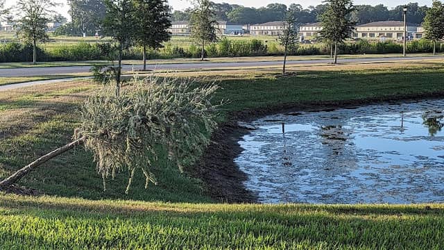 Lake Azevedo - Image 1