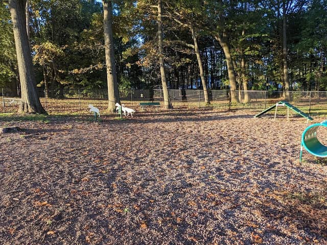 Dog Park at Heritage Park - Image 2