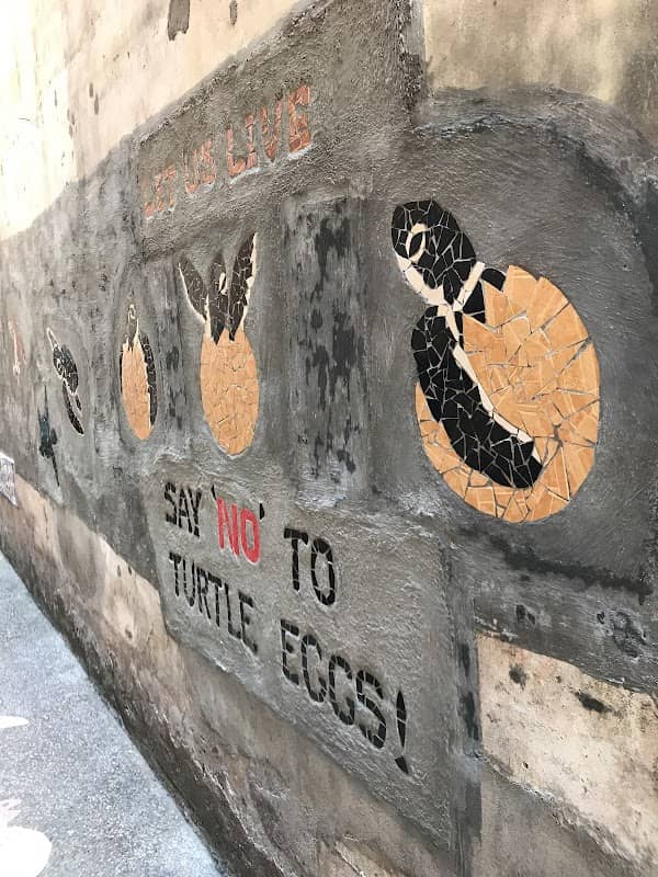 لوروڠ ڤڽوTurtle Alley - Image 2