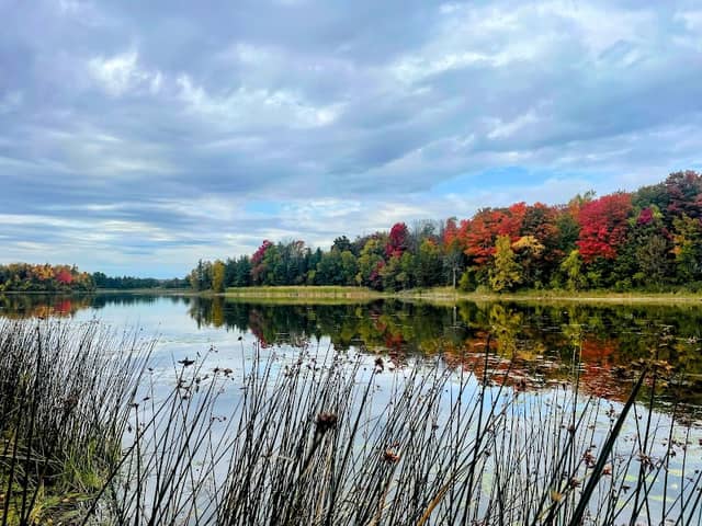 Island Lake Family Park - Image 2