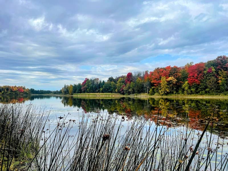 Island Lake Family Park - Image 1