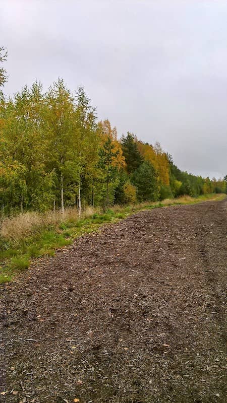 Marjalansaaren ulkoilureitti - Image 1