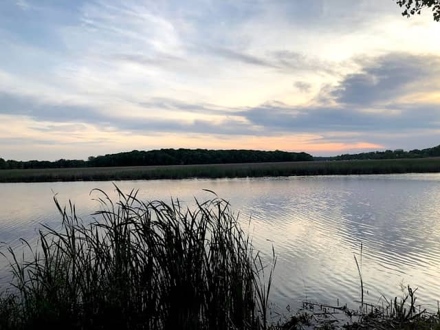 Pedersen Park - Image 2
