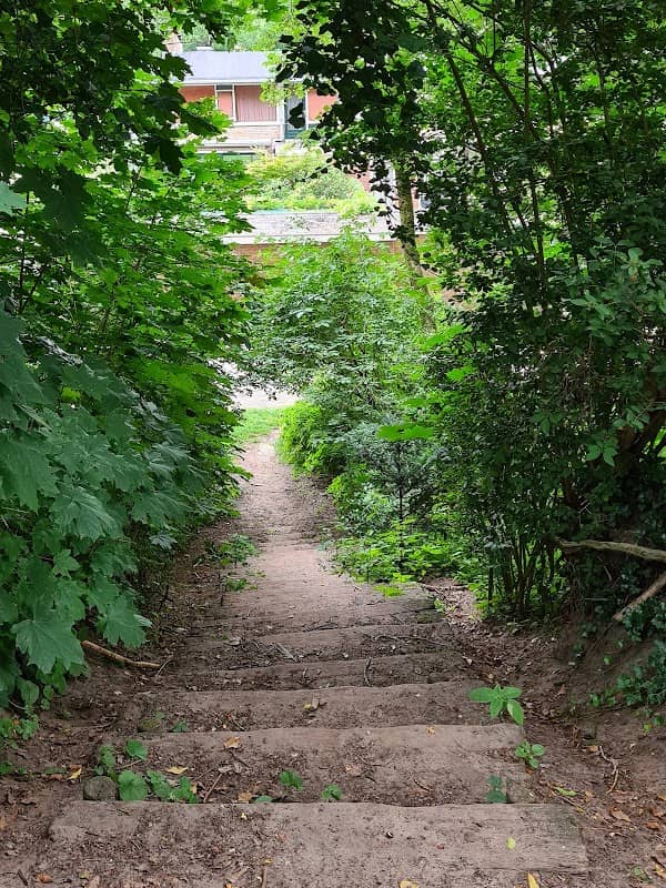 The old football field - Image 2