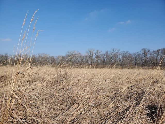 Freeman Prairie - Image 1
