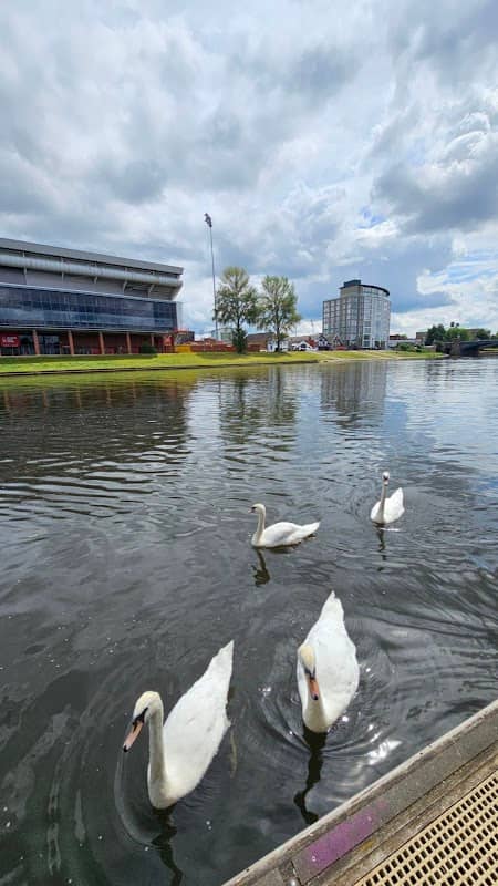 Nottingham Beeston Canal (Art - Image 1
