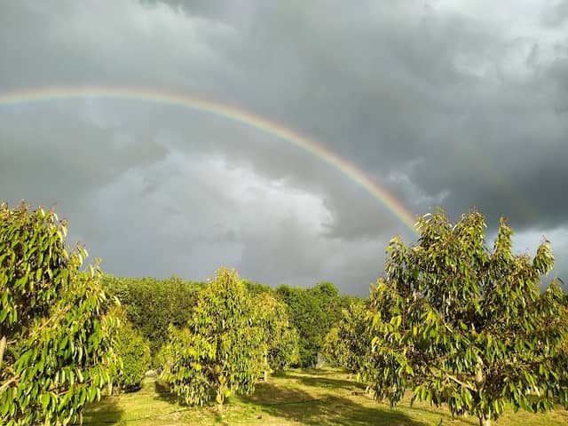 สวนน้องนินาสวยที่สุดของจริง - Image 1