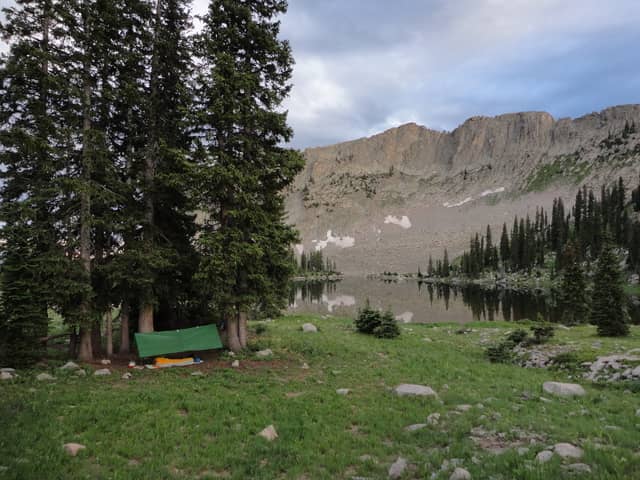 Ragged Wilderness - Image 2