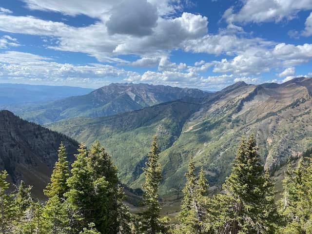 Ragged Wilderness - Image 1