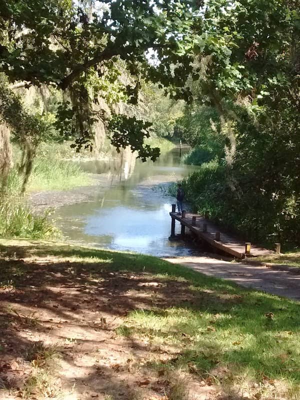 Buena Vista Landing - Image 2