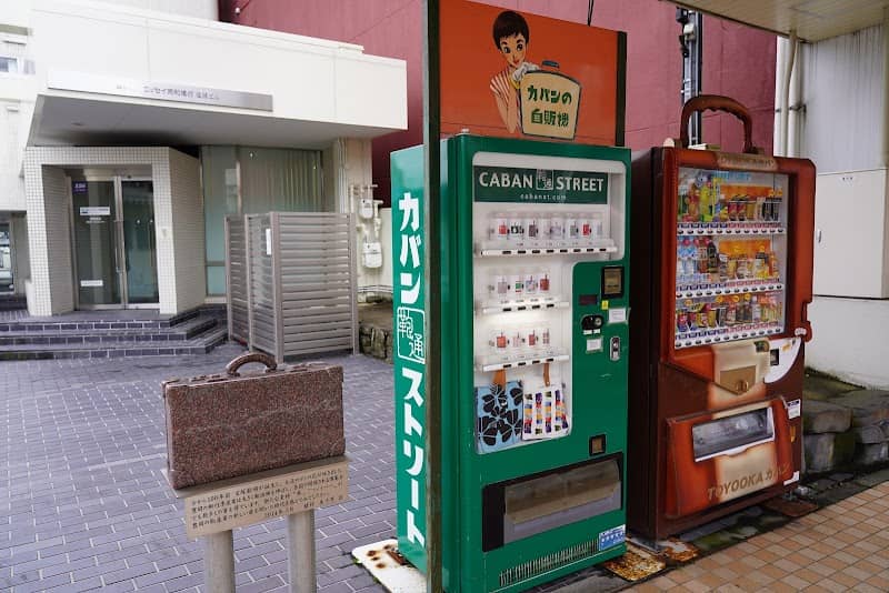 Toyooka Bag Street - Image 1