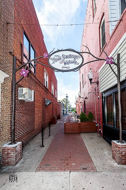 Eloise Staudinger Walkway Arch - Image 1