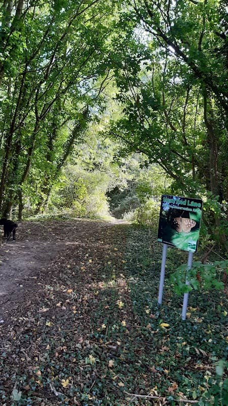 Hunt End Nature Reserve - Image 1