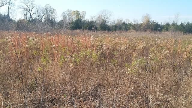 Adkins Crossing Park - Image 2
