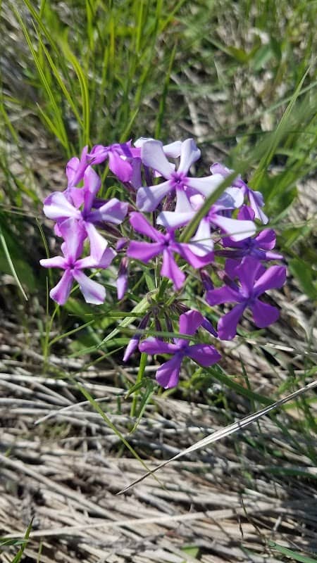 Friendly Prairie Conservation Area - Image 1