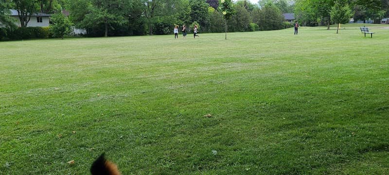 Sheridan Park - Image 2