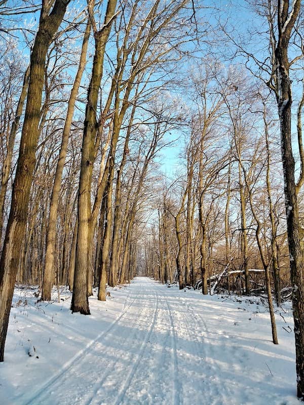 Sannauk Forest Preserve - Image 1