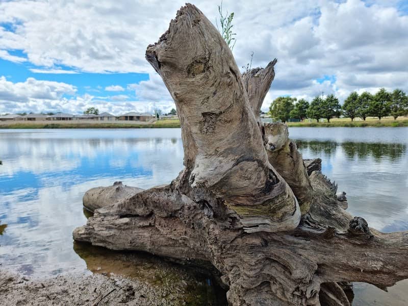 Waratah Wetlands - Image 2