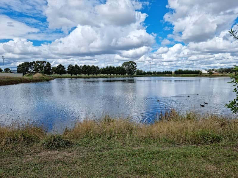 Waratah Wetlands - Image 1