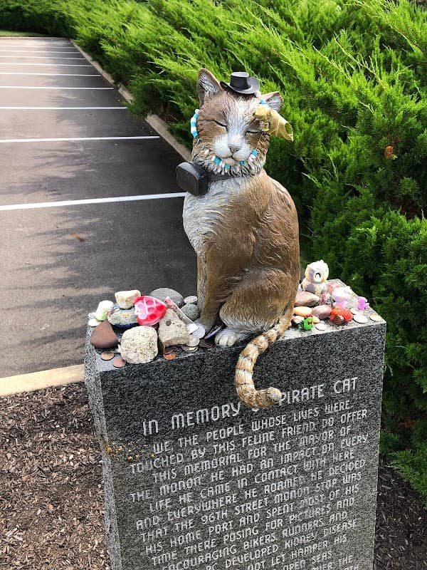 Pirate Cat Memorial - Image 1