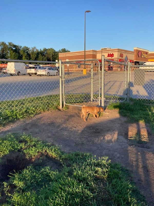 Dog Park at Love's Travel Stops - Image 1