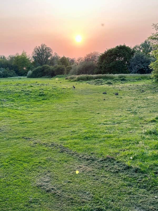 Elms Farm Park - Image 1
