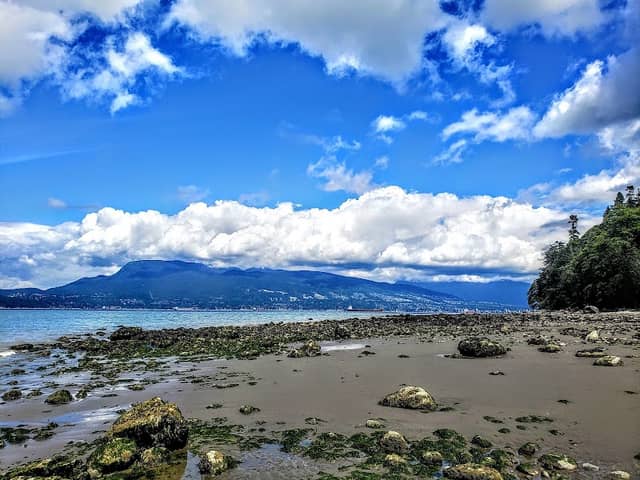 Pacific Spirit Regional Park - Image 3