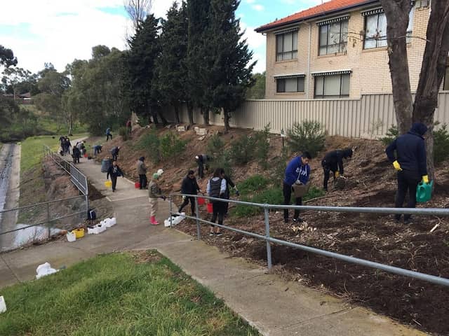Davitt Drive Planting - Image 1
