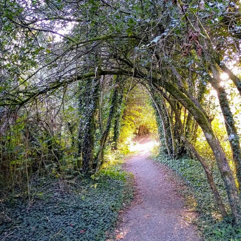 Wilkinson Farm Park - Image 2