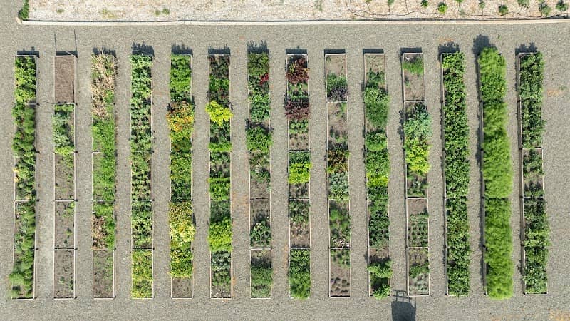 Terrace Hill - Image 1