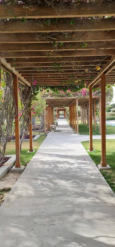 Japanese Bahraini Friendship Garden - Image 2