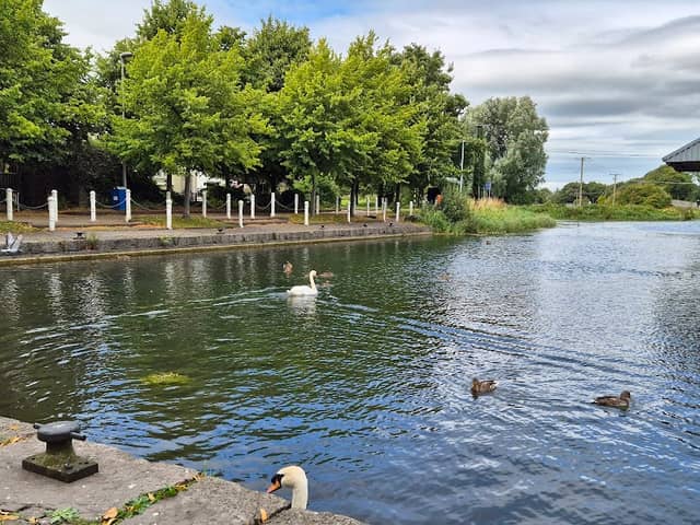Naas Harbour - Image 1