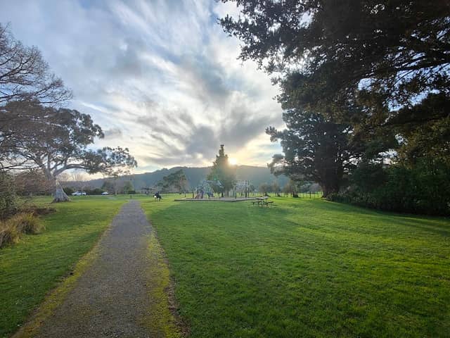 Maoribank duck pond - Image 1