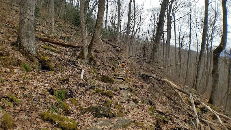 Hog Back Gap - Image 1