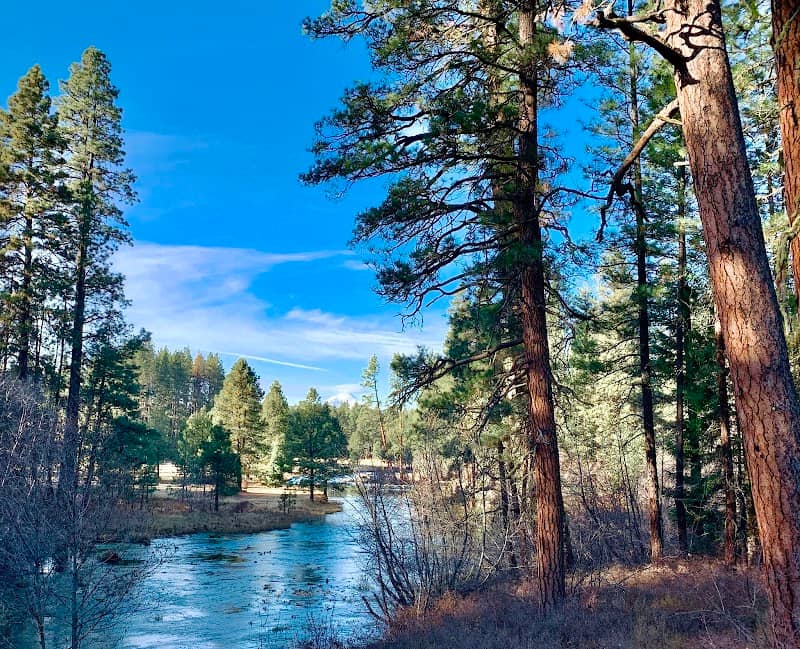 Head Of The Metolius Observation Site - Image 1