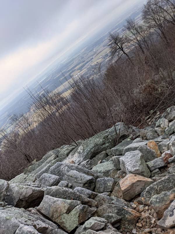 Waggoner's Gap Hawk Watch - Image 3