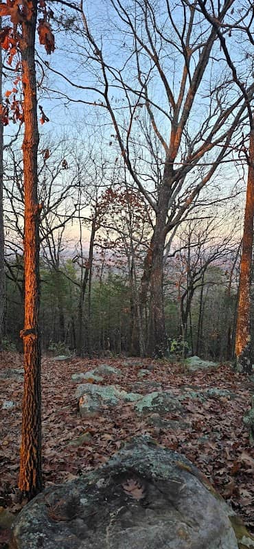 Confederate Mother's Memorial Park - Image 1
