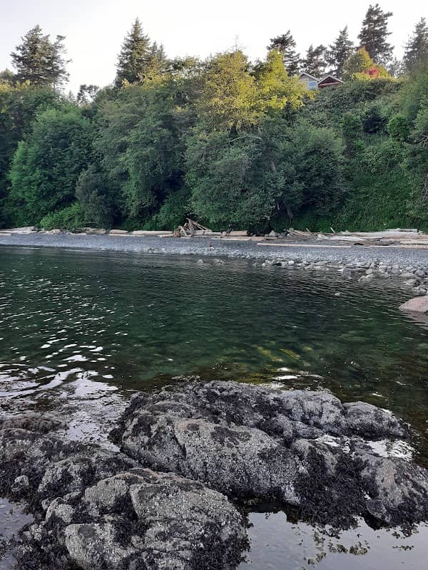Arbutus Cove & Gordon Head Beach Park - Image 3