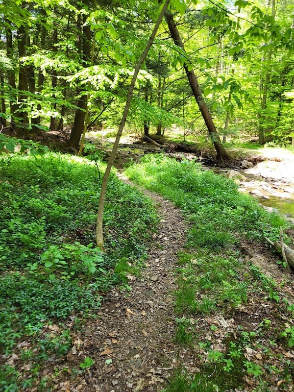 Hatch Run Conservation Trail - Image 1