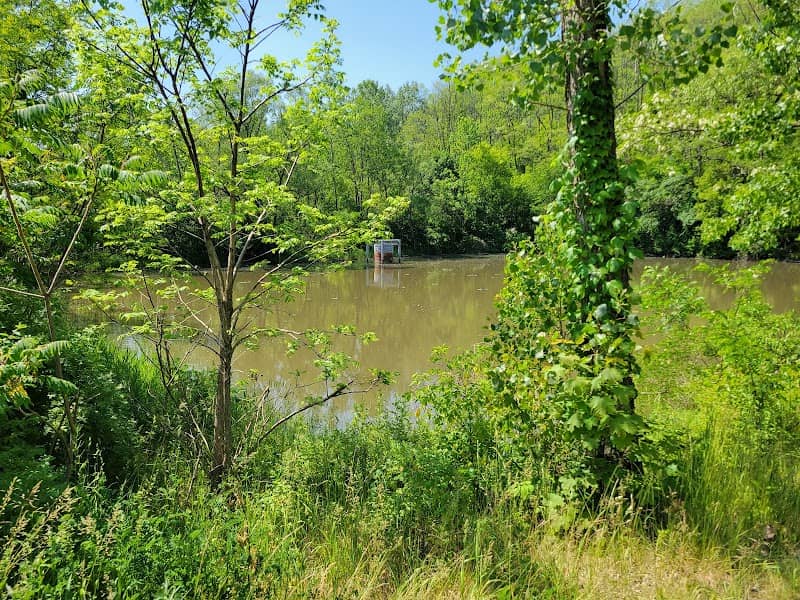 Memorial Park - Image 2