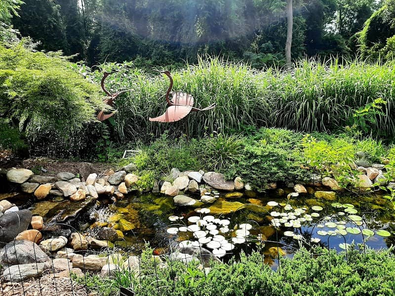 Wilson Botanical Gardens - Image 2