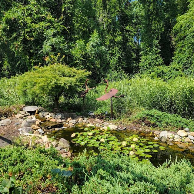 Wilson Botanical Gardens - Image 3