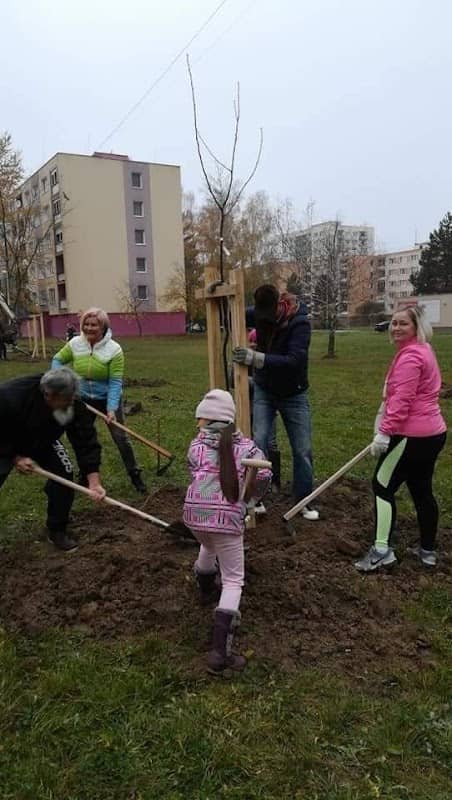 Jedlý les - komunitný sad - Image 3