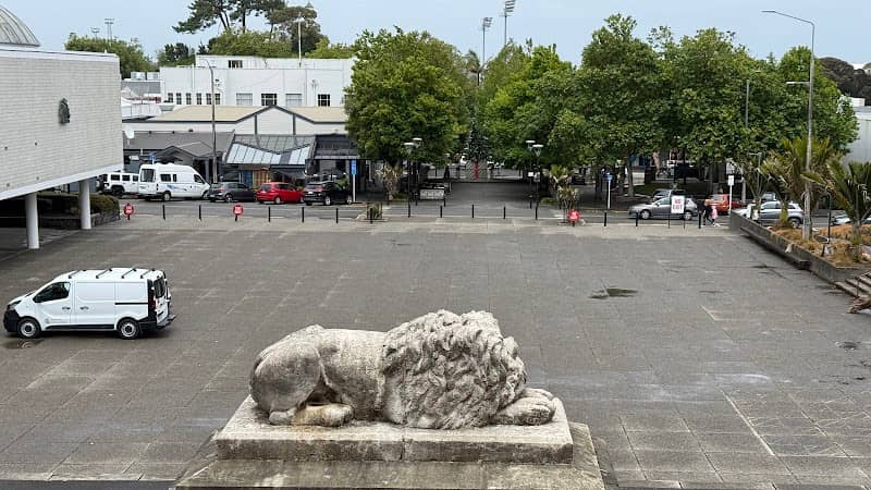 The Sleeping Lion - Image 2