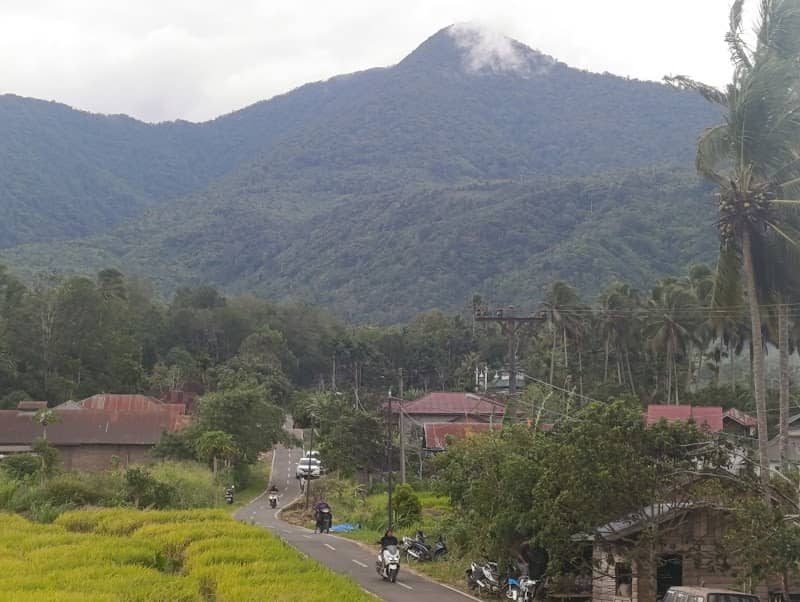 Agrowisata Alam Lubuk Raya dan Kebun Strawberry - Image 1