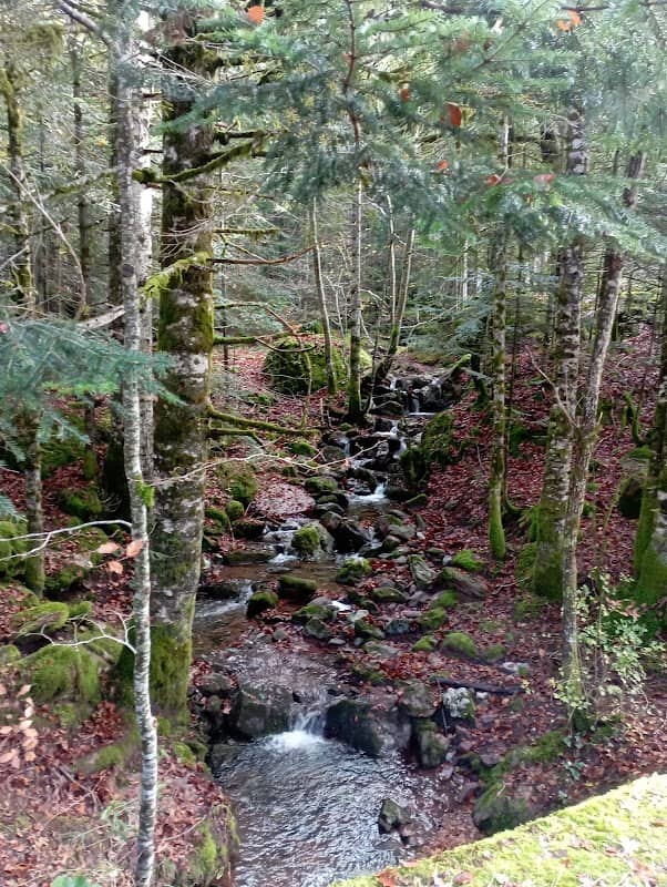 Pradera de la Selva de Oza - Image 1